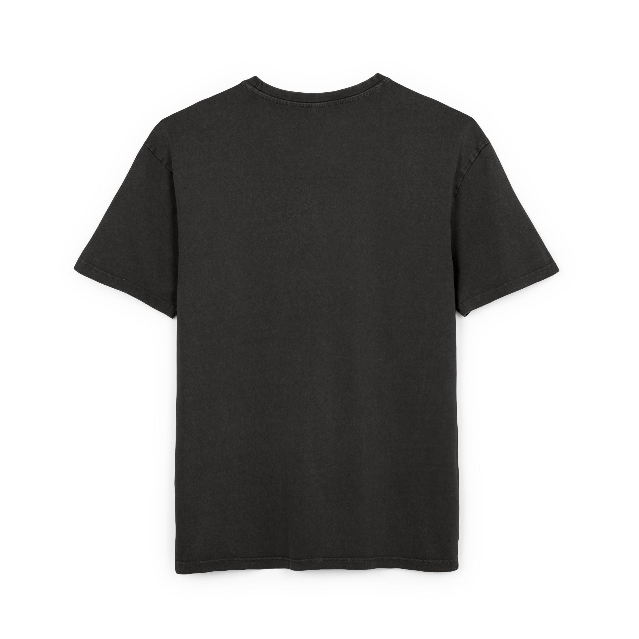 Bagheera Acid Washed Oversize T-Shirt - Divine DeSein